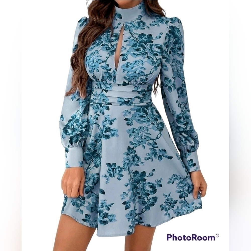 Women’s Baby Blue Floral Peekaboo Swing Dress Large Puff Sleeve A-Line Dress